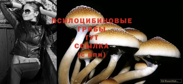 винт Верея