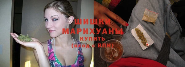 винт Верея