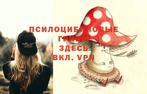 винт Верея