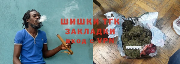 прущие грибы Волоколамск