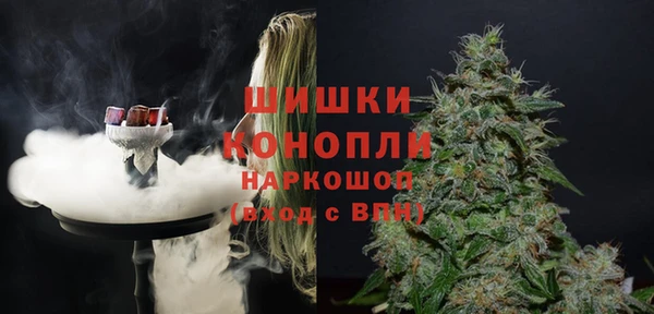 винт Верея